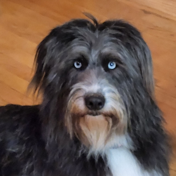 Meet your Posher, Tammy - Picture 1 of 1